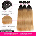 1B/27 Straight Human Hair Bundles With Closure Ombre Colored Hair Bundles With Closure - LollyHair