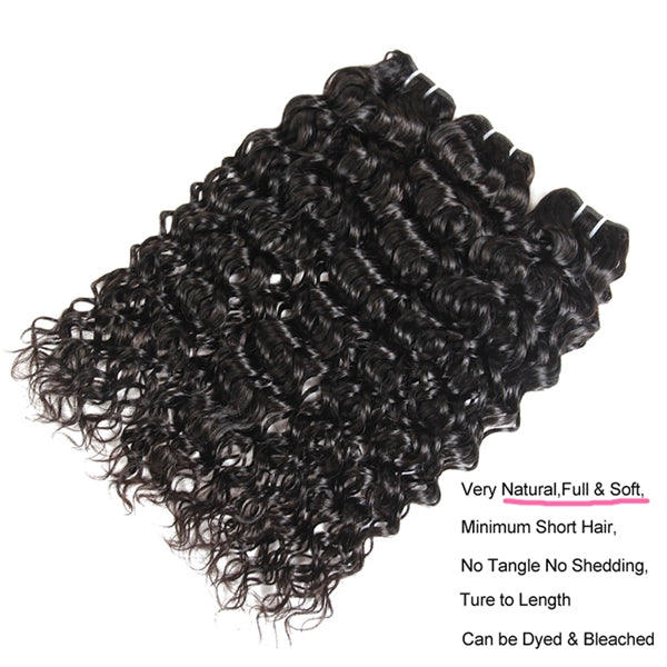Indian Virgin Human Hair Water Wave 3 Bundles with 4*4 HD Lace Closure - LollyHair