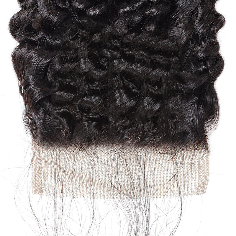 Lolly 100% Virgin Malaysian Kinky Curly Human Hair Extensions 2 Bundles With Lace Closure 9A : LOLLYHAIR