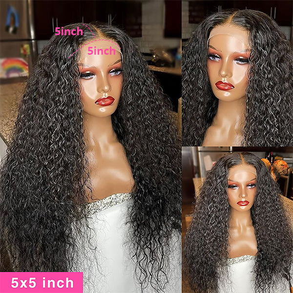 250 Density Curly Human Hair Wigs 5x5 HD Lace Closure Wig 30 inch Lace Wig