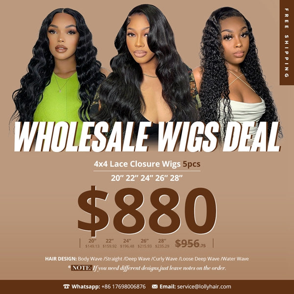 $880 Wholesale Human Hair Wigs Pack Deal 4x4 HD Lace Closure Wig 20 22 24 26 28 inch 5pcs