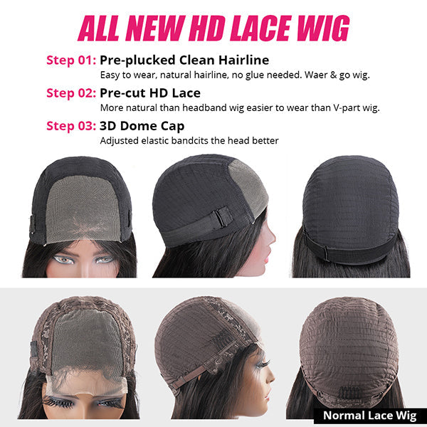 Straight HD Lace Closure Wig P4/27 Highlight Wigs Human Hair Glueless Wig Pre cut Wear & Go Wigs